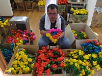 ����̐����C���[�W